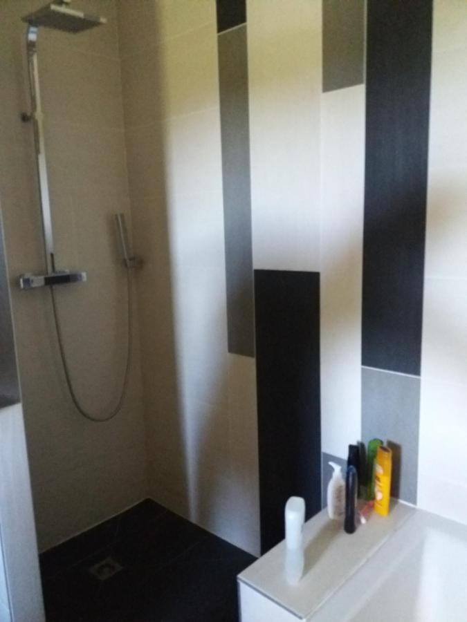 Chambres, Cuisine, Piscine, Spa, Billards, Airhockey, Nature Fillinges Eksteriør billede