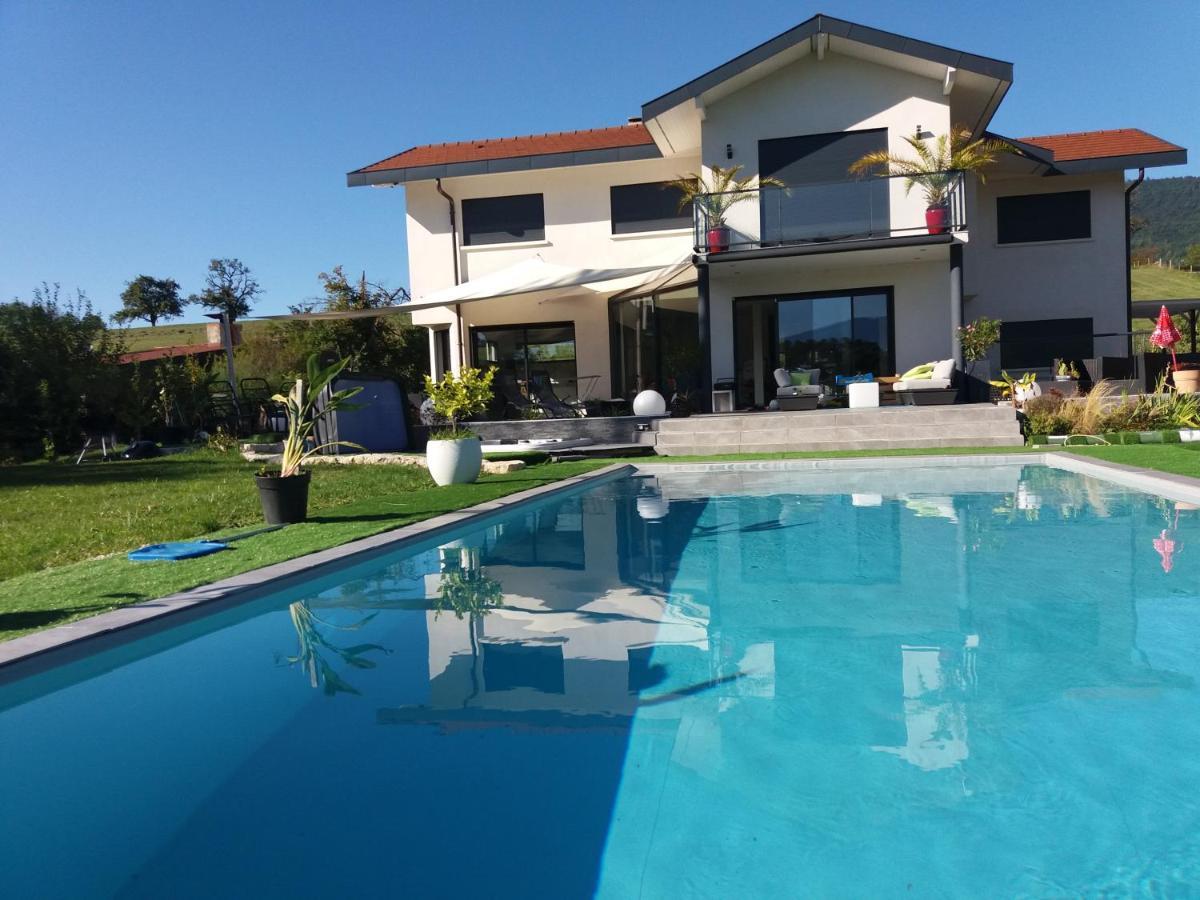 Chambres, Cuisine, Piscine, Spa, Billards, Airhockey, Nature Fillinges Eksteriør billede