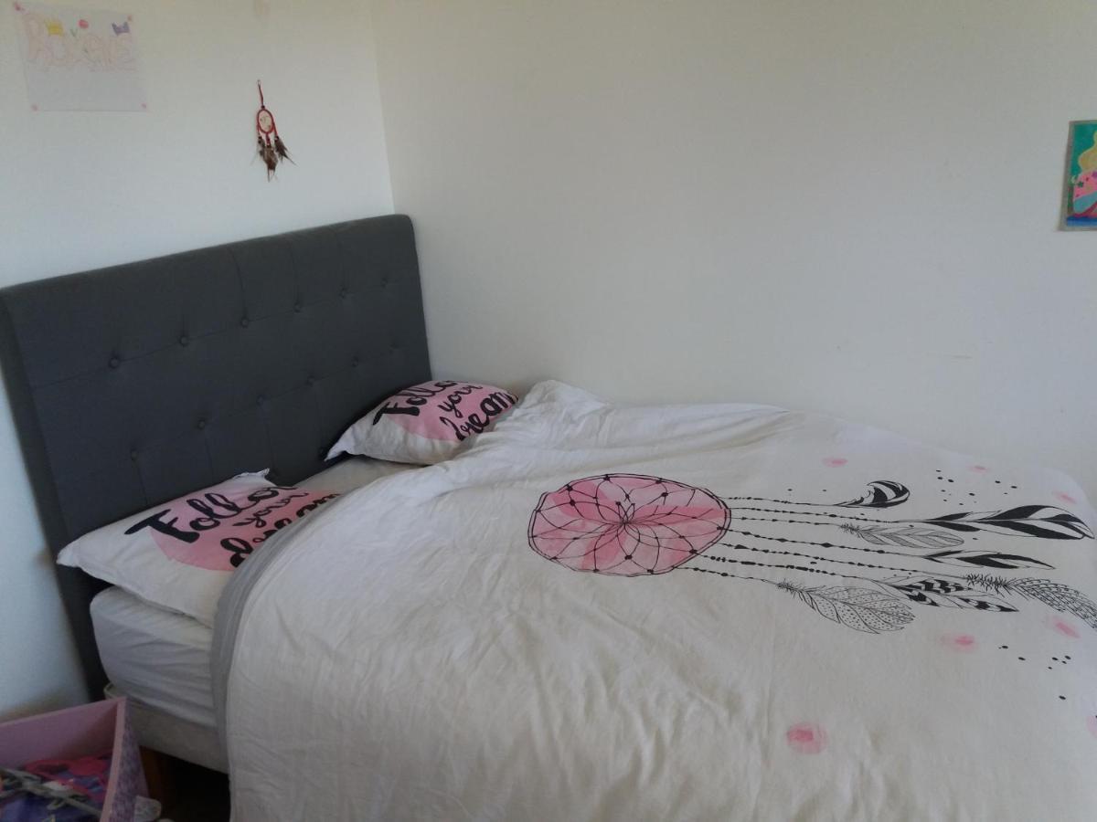 Chambres, Cuisine, Piscine, Spa, Billards, Airhockey, Nature Fillinges Eksteriør billede