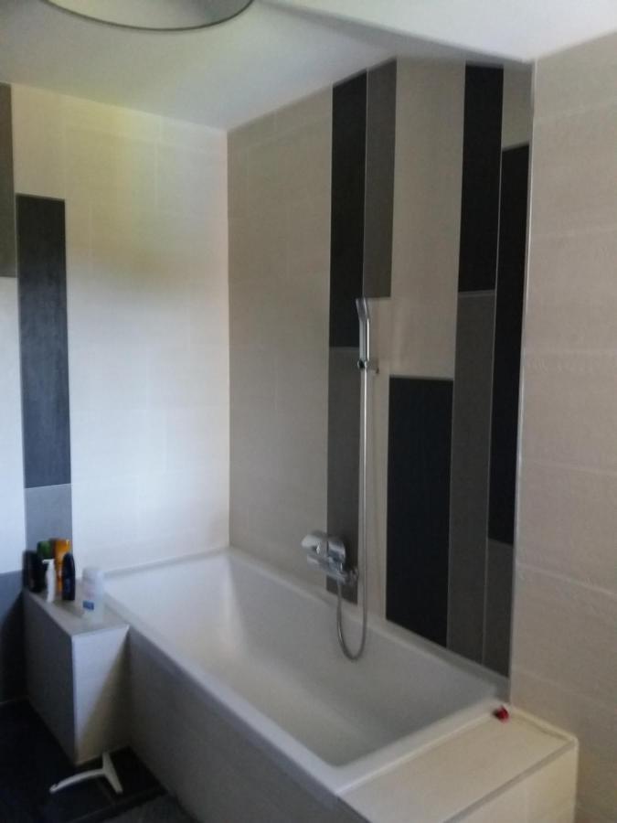 Chambres, Cuisine, Piscine, Spa, Billards, Airhockey, Nature Fillinges Eksteriør billede